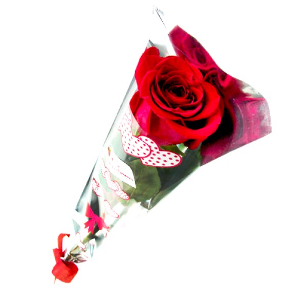 Rosa (Unidade)